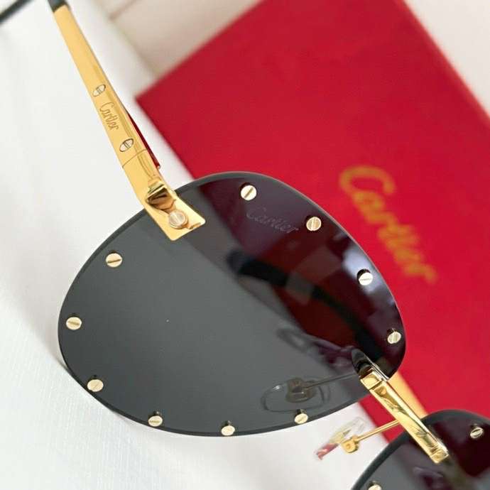 Picture of Cartier Sunglasses _SKUfw57312133fw